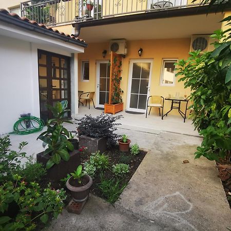 Radovic Apartments Budva Zimmer foto