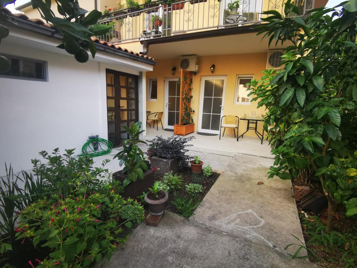 Radovic Apartments Budva Exterior foto